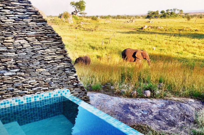 Abercrombie and Kent Safari | Trip advisor, African safari, Luxury safari